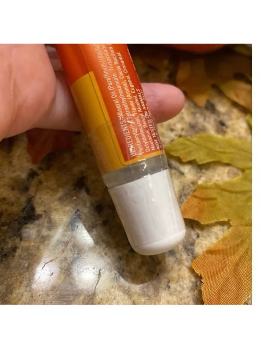 Bath & Body Works PUMPKIN SPICE Lip Care NEW 2 Pc Set